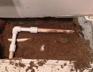 二道测漏水哪家好