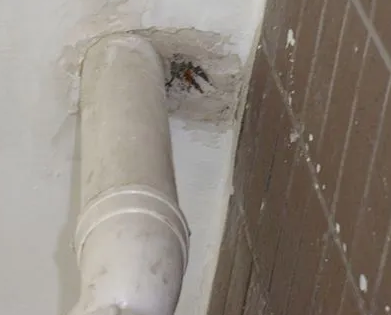 二道漏水检测哪家好